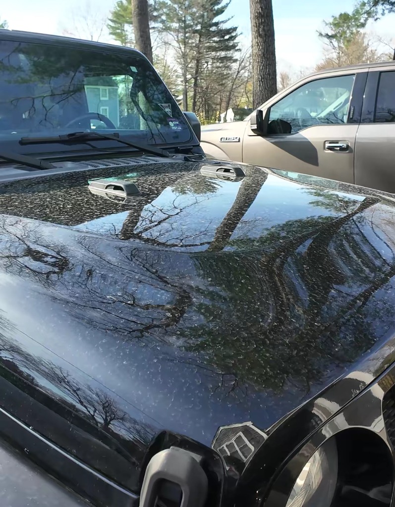 Black Jeep Wrangler hood with water spots before clay bar paint decontamination mobile detailing in North Ogden