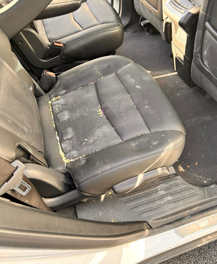 Leather car backseat with crumbs and body oil before deep leather auto interior cleaning in South Ogden UT