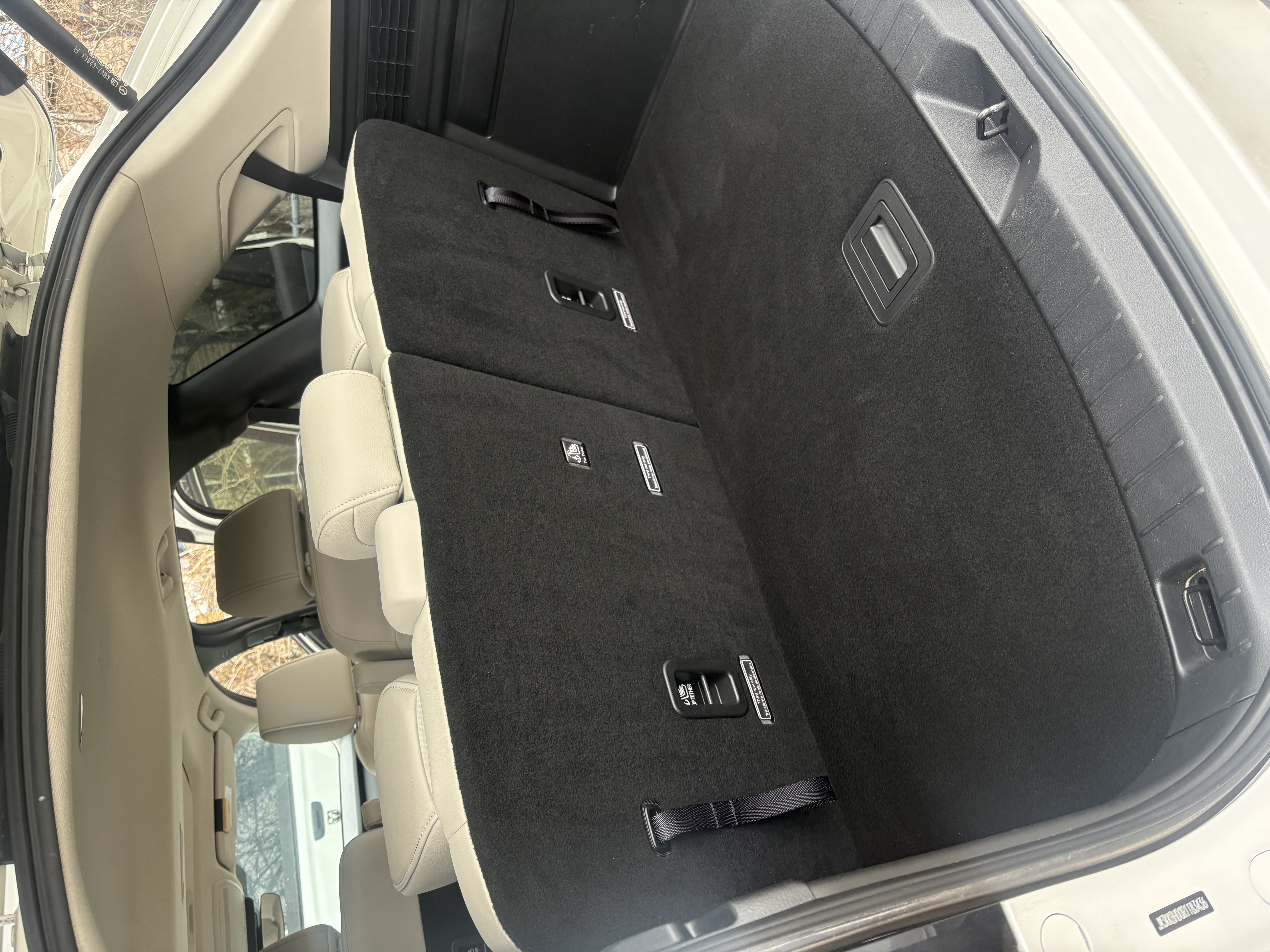 Car carpet shampooing for dog hair and spills in SUV trunk cargo area in Syracuse Utah